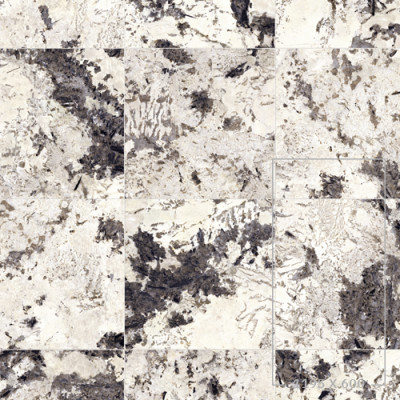 OPULENCE CAPRICE LEV