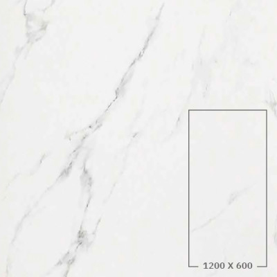 STATUARIO GRIGIO (HONED)