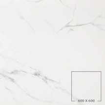 STATUARIO GRIGIO (HONED)