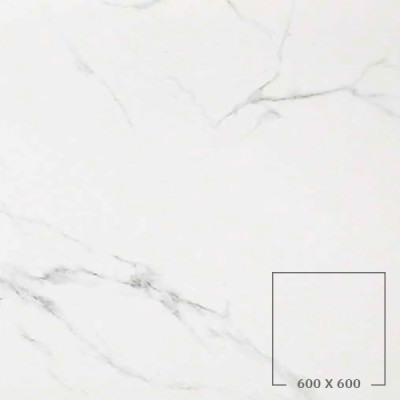 STATUARIO GRIGIO (HONED)