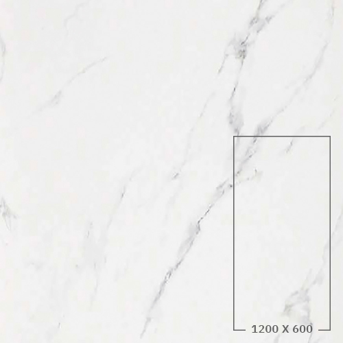 STATUARIO GRIGIO (LUCIDO)