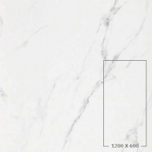 STATUARIO GRIGIO (LUCIDO)