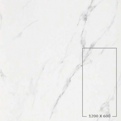 STATUARIO GRIGIO (LUCIDO)