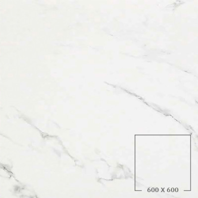 STATUARIO GRIGIO (LUCIDO)