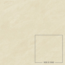 CONCEPT WHITE (99CT1)